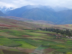 machupicchu from (529)